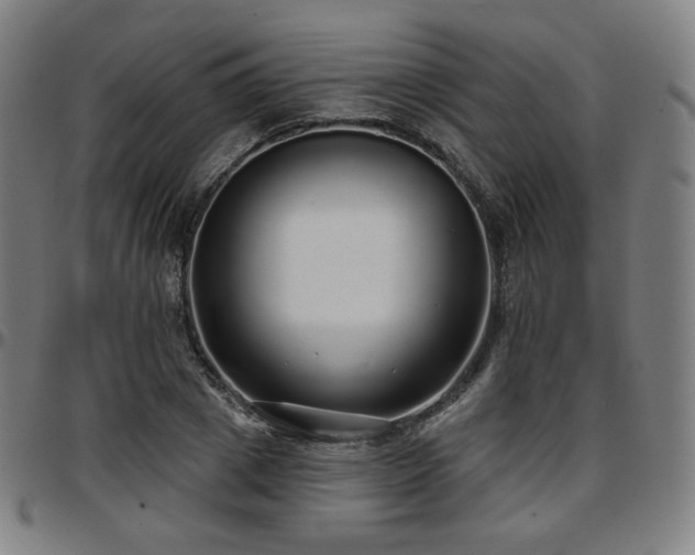 X0000097630833200802291338
