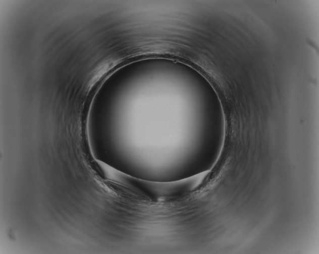 X0000097630834200802291338