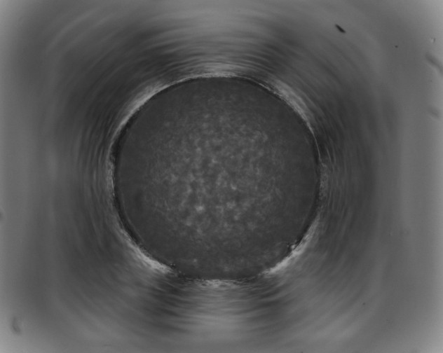X0000097630835200802291338