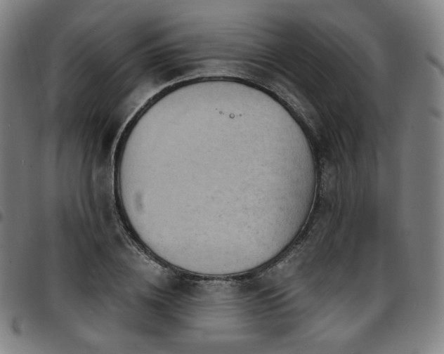 X0000097630836200802291338
