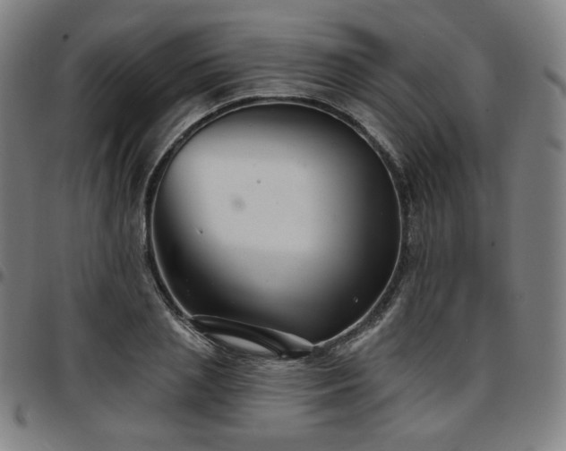 X0000097630837200802291338