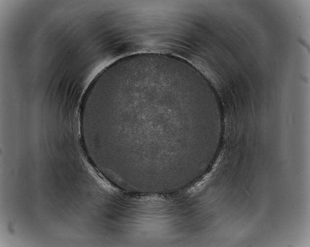 X0000097630838200802291338