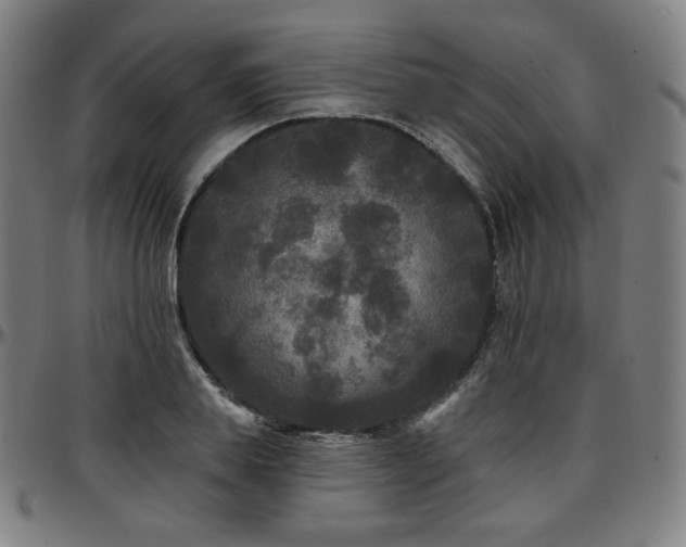 X0000097630839200802291338