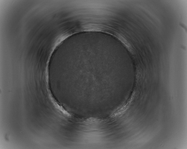 X0000097630840200802291338