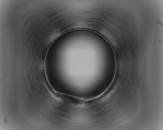 X0000097630841200802291338