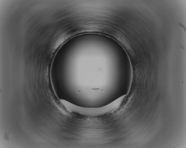 X0000097630842200802291338