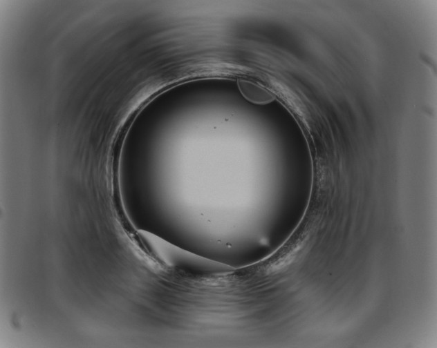 X0000097630843200802291338