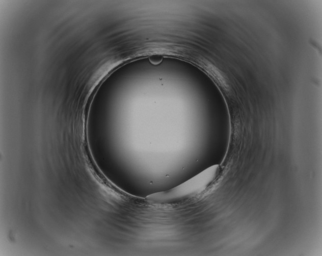 X0000097630844200802291338