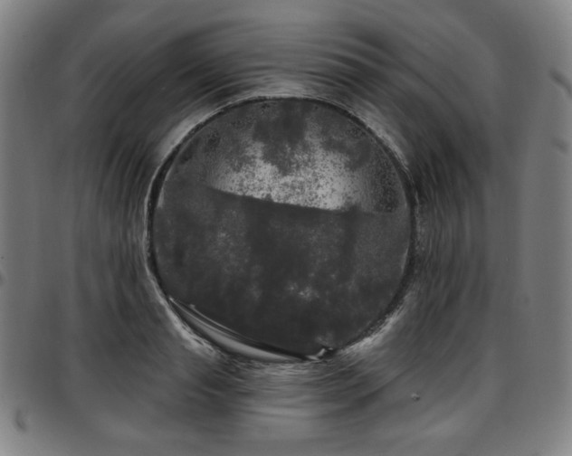 X0000097630845200802291338
