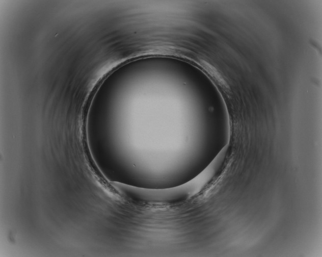 X0000097630846200802291338