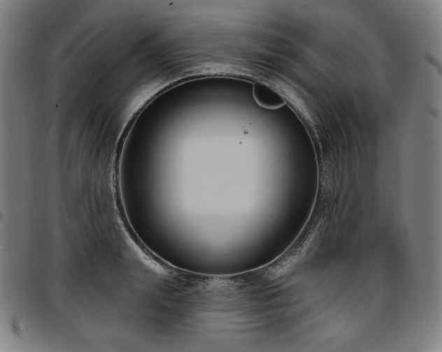 X0000097630847200802291338