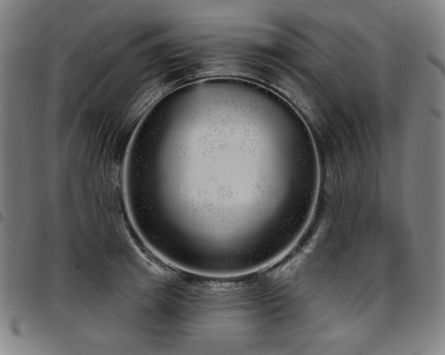 X0000097630849200802291338
