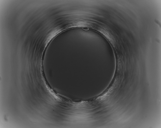 X0000097630850200802291338