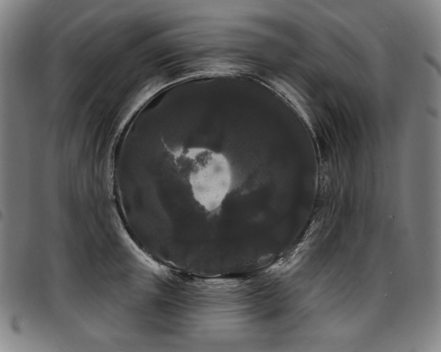 X0000097630851200802291338