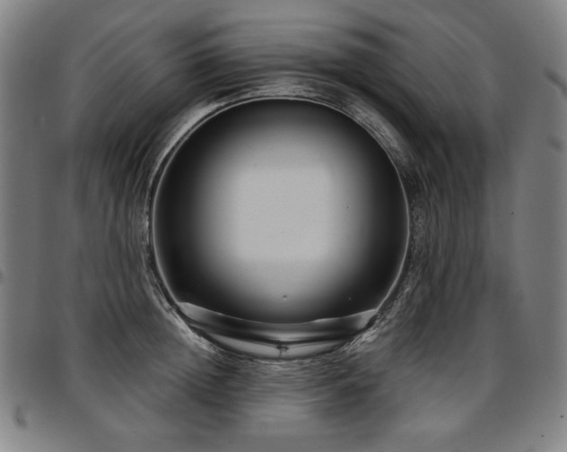 X0000097630852200802291338