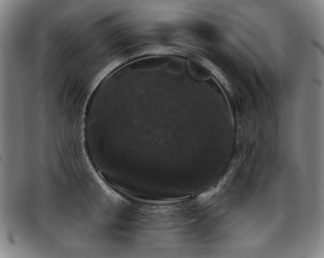 X0000097630853200802291338