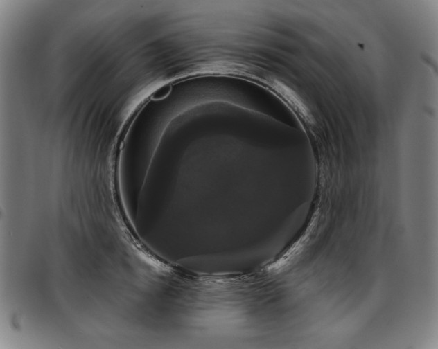 X0000097630854200802291338