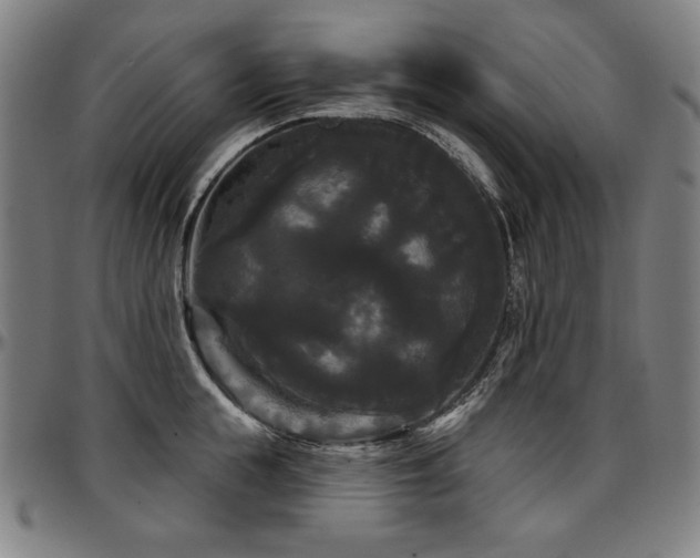 X0000097630855200802291338
