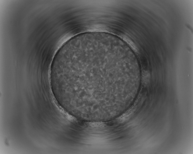X0000097630856200802291339