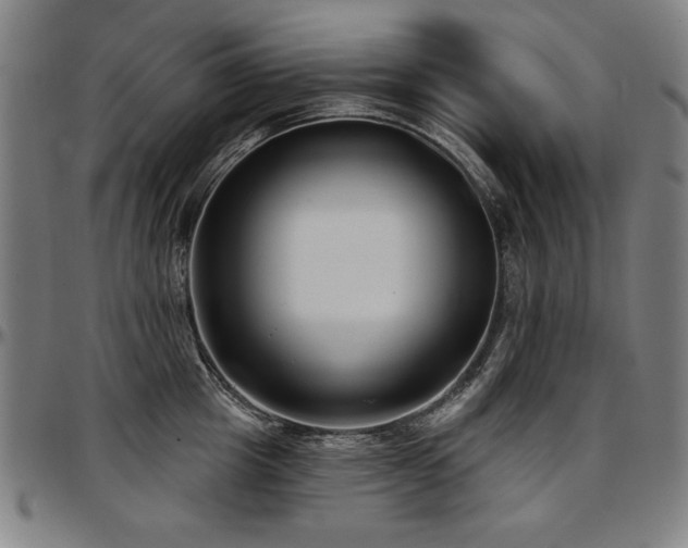 X0000097630857200802291339