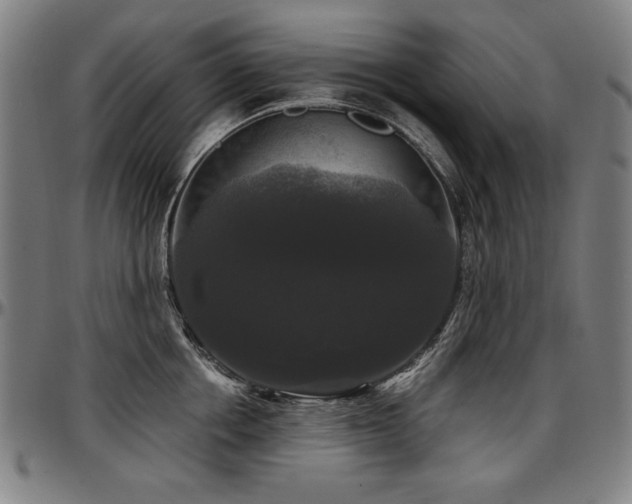 X0000097630858200802291339