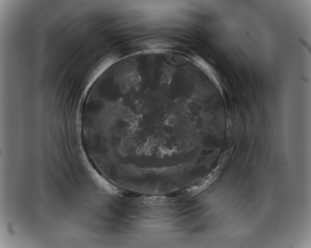 X0000097630859200802291339