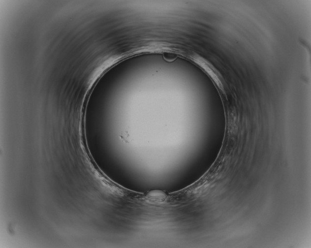 X0000097630861200802291339