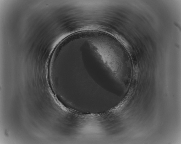 X0000097630862200802291339