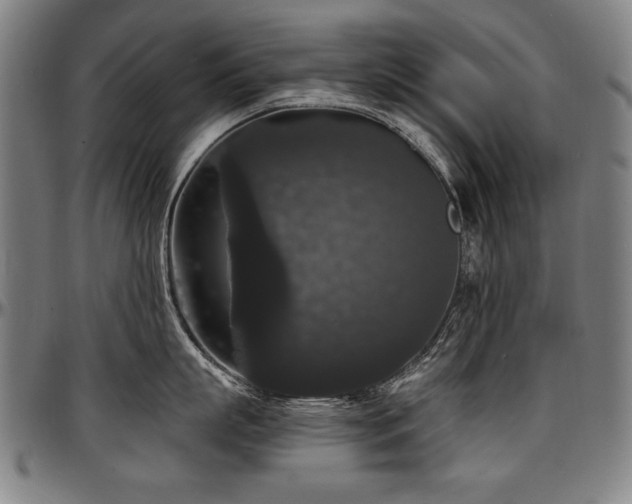 X0000097630863200802291339