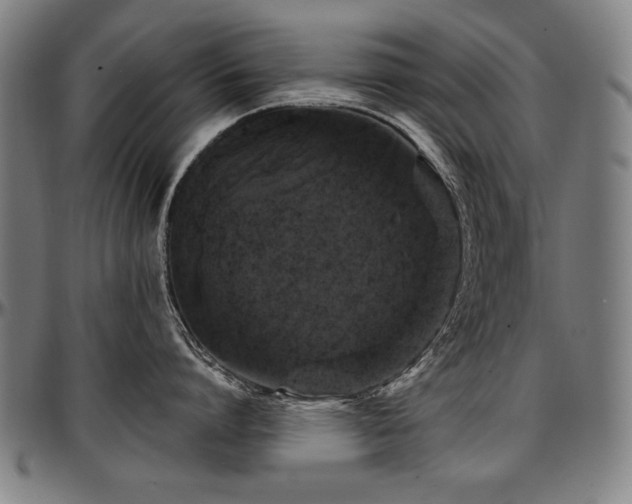 X0000097630864200802291339