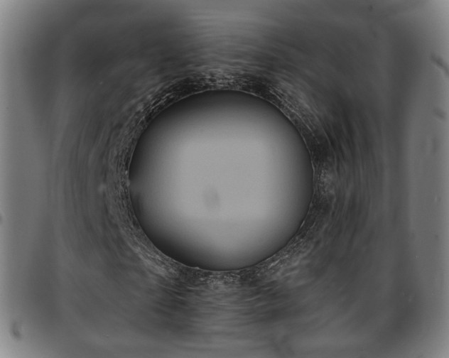 X0000097630865200802291338