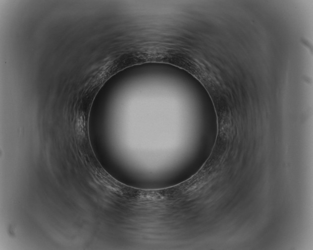 X0000097630866200802291338