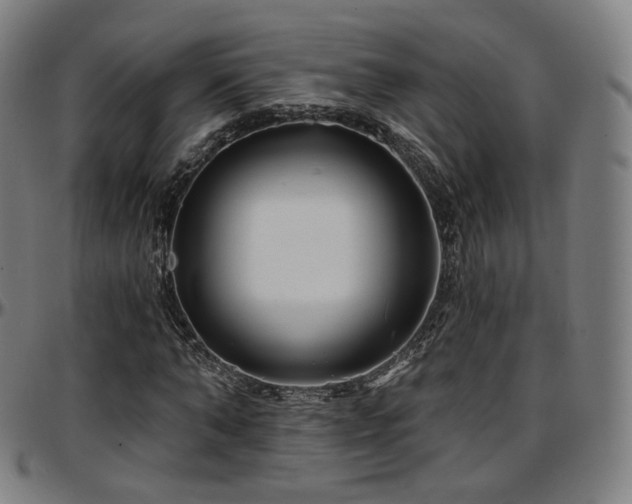 X0000097630870200802291338