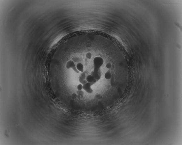 X0000097630871200802291338