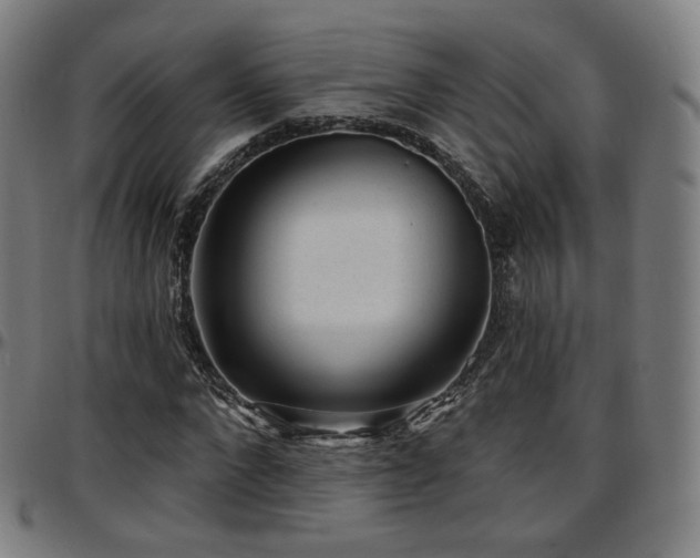 X0000097630872200802291338
