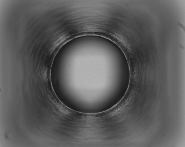 X0000097630873200802291338
