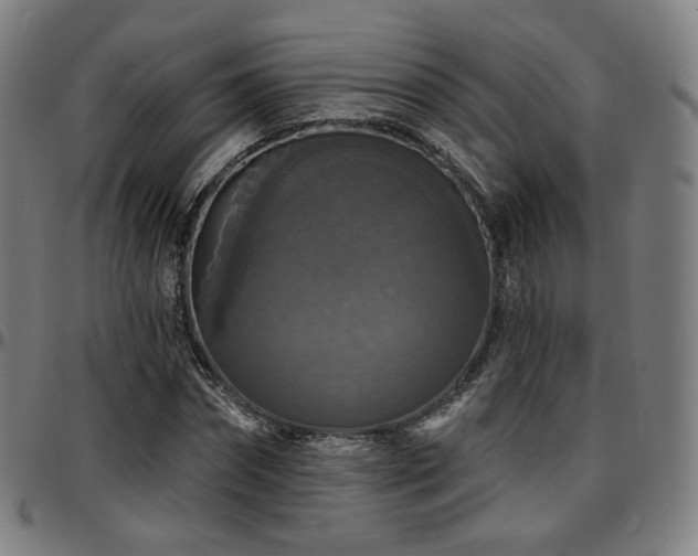 X0000097630874200802291338