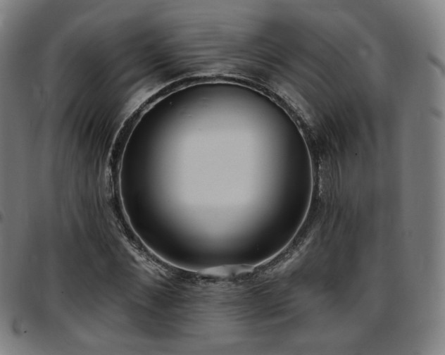X0000097630876200802291338