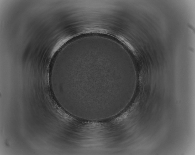 X0000097630877200802291338