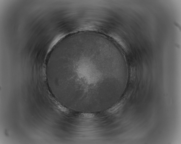 X0000097630878200802291338