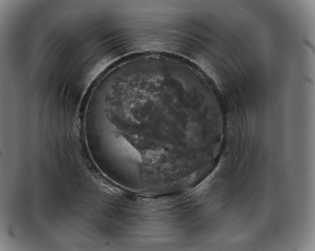 X0000097630879200802291338
