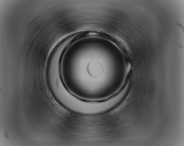 X0000097630880200802291338
