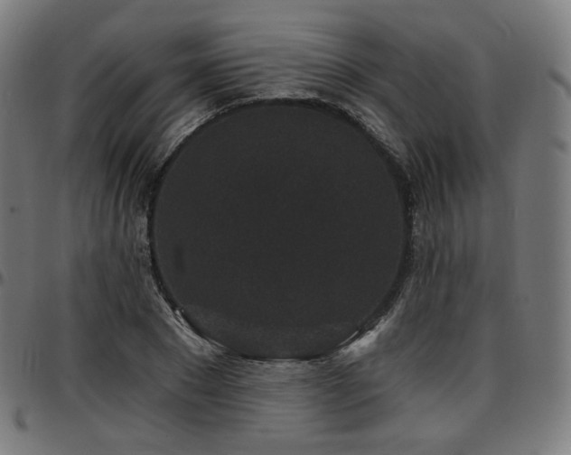 X0000097630881200802291338