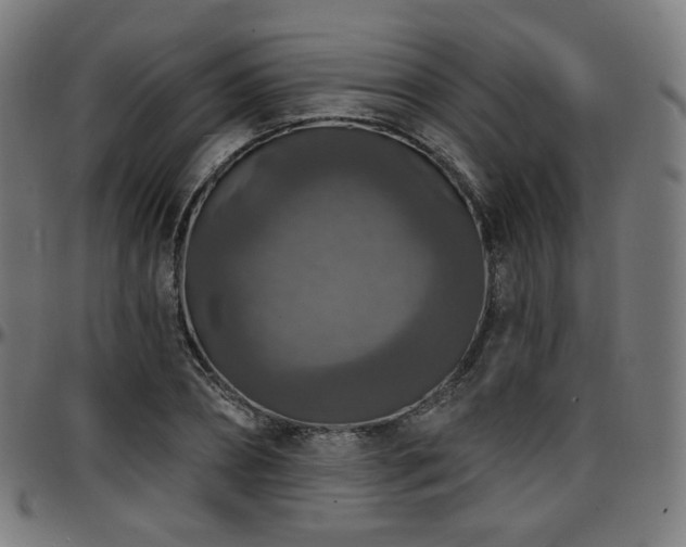 X0000097630882200802291338