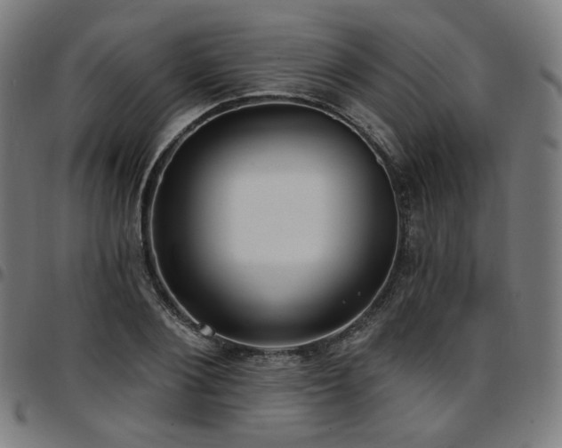 X0000097630884200802291338