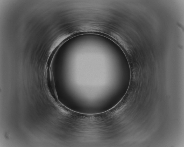 X0000097630885200802291338