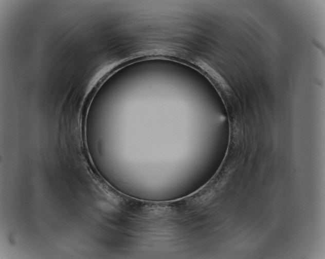 X0000097630886200802291338