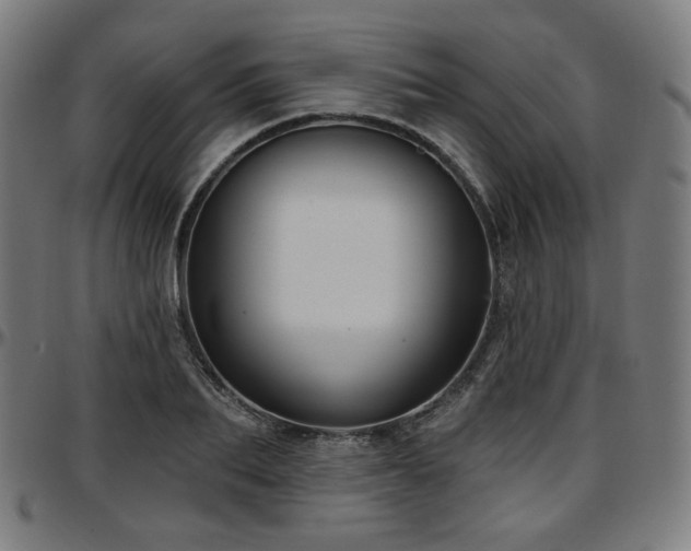 X0000097630887200802291338