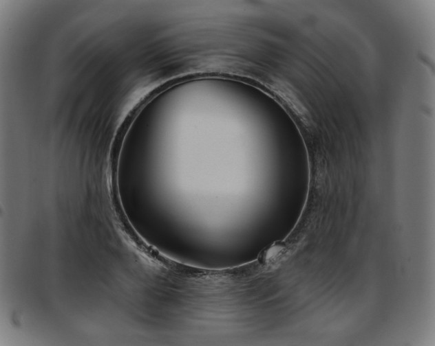 X0000097630888200802291338