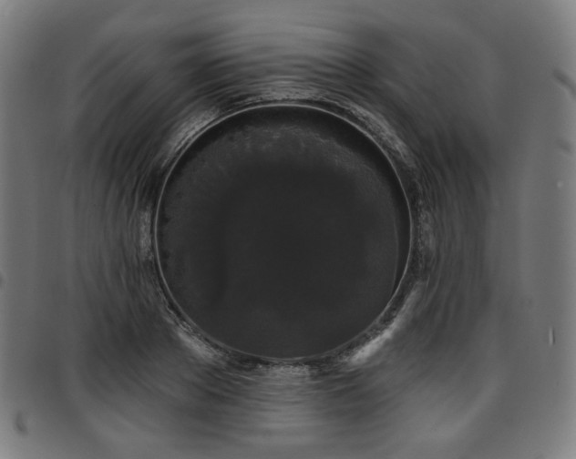 X0000097630889200802291337